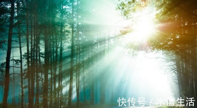 水穷处&王维最经典的一首五律,每一句都充满了禅理,无人能出其右