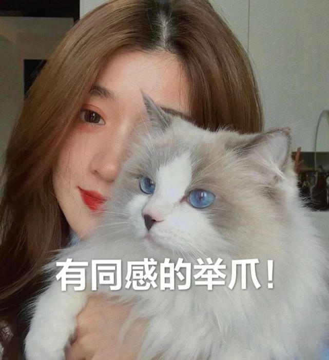 2021公认美女新类型来了！“奶茶系女生”火了！