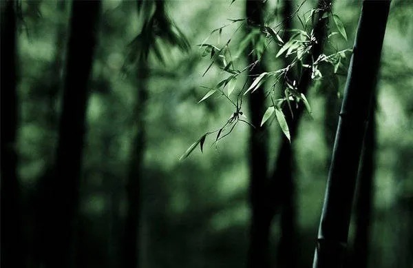 良知@王阳明:人生一世,最该牢记的五“忌”!