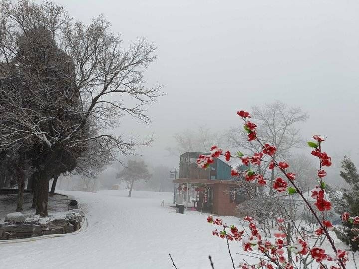 第一场雪|2022第一场雪，齐鲁雪乡腊八节诠释济南的冬天