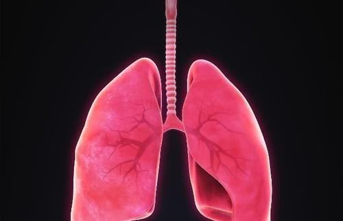 肺部“干净”的人,一般会有4个特征,若你没有,趁早保养