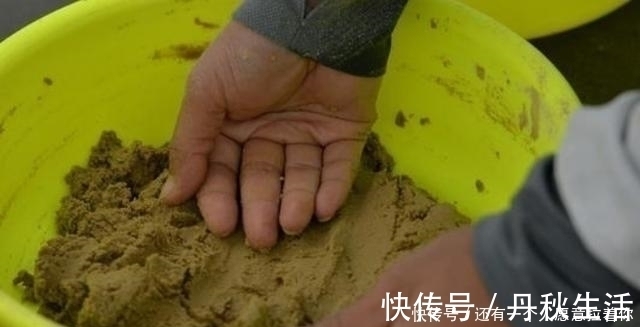钓饵|二十年老钓手再次提醒,到了秋天,唯独这样一套用饵方式才最关键