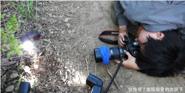 旅游瞎拍竟发现一片皱巴巴东西,一查竟是满满的财富!