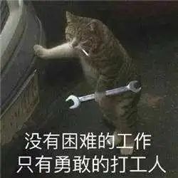 卷曲的面条|方便面的造型为啥弯弯的~