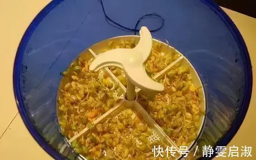 榨油机榨油机|买了就后悔的11种家居用品，光是我家就中招6个，你家呢？