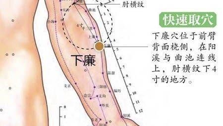 身体|脾胃不好的人，会有哪些表现，按摩身体几处穴位就可“对症下药”