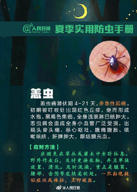 转发提醒！飞虫落身上不要随意拍打