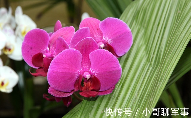 此生|下一周,繁荣结束,财运走高,破茧重生,不负此生,不离不弃