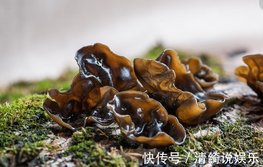 健康|吃了黑木耳以后,记住别碰此种食物,为了健康着想,要记得忌口!