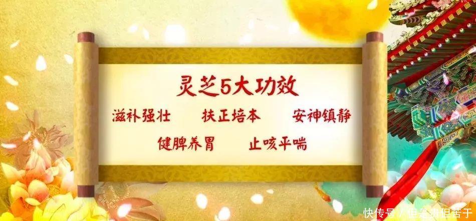  草红花|91岁老中医，每天吃五宝50年！活血化瘀，增强免疫力，人人可学