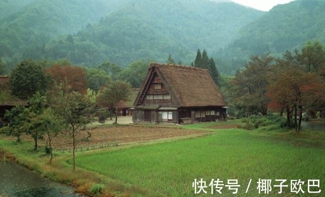 辞官$陶渊明辞官后所作的第一首杂诗,推荐给所有被生活捶过的中年人