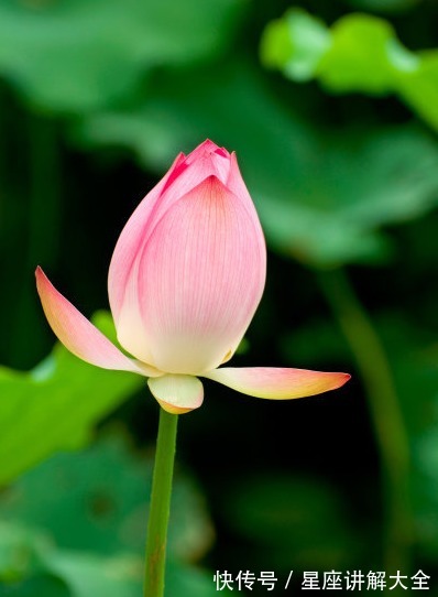 财运亨通|9月上旬,4属相财运亨通,有横财有大奖,过上富裕生活