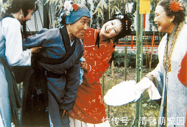 大观园$刘姥姥夸惜春像神仙托生的,打量了黛玉一番,反而不夸了?