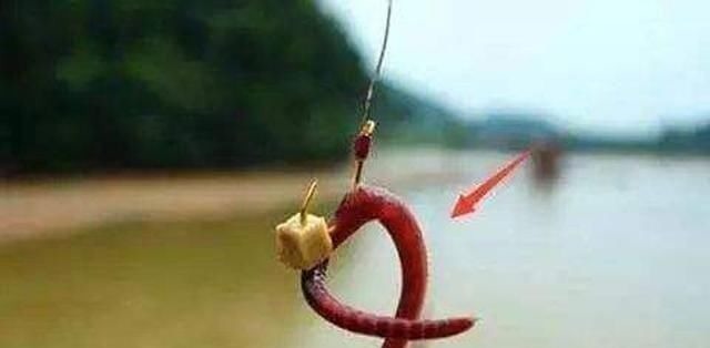 钓鱼时到底该不该露钩别争论了,实践才能出真知