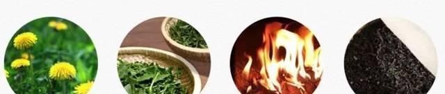 高二女生,因一壶蒲公英水,被送入医院,蒲公英泡水,有4大禁忌