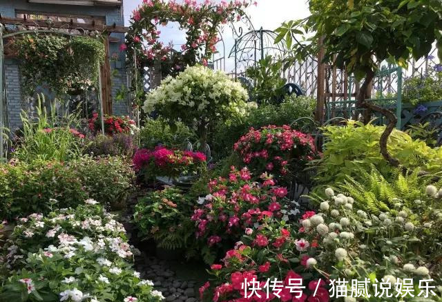 这9种花园,随便1个都美上天了,有一种这辈子就满足了!