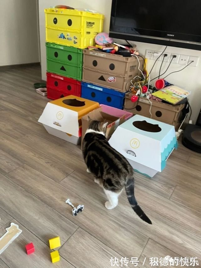 大侠|大侠后宫:“直播间卖货方式能有多离谱??”哈哈哈哈哈这不买都对不起主播!