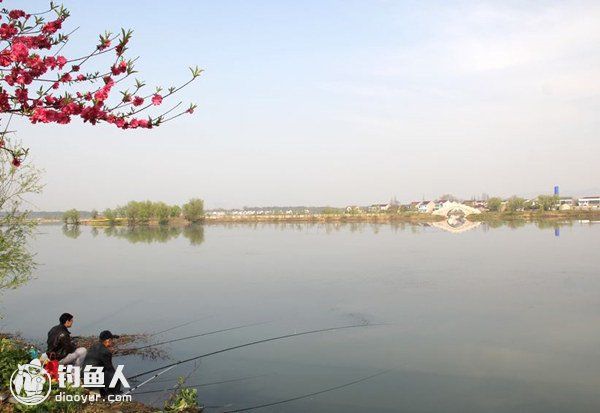 南风天春钓鲫鱼的五个要诀 快资讯