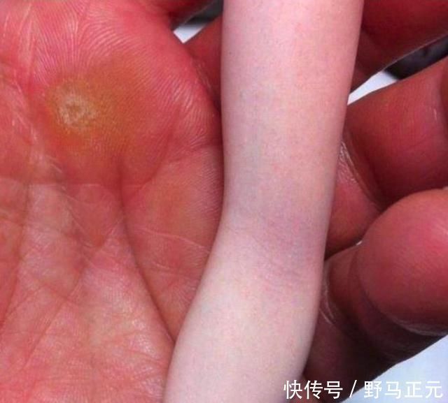 纤纤玉手|手办居然可以这样“逼真”?血管如此清晰?普通人只能看不能买!