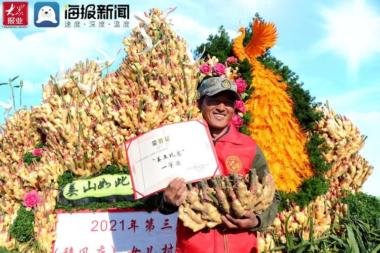 大姜#八百亩生姜喜获丰收 第三届青岛移风店（女儿村）大姜文化节开幕