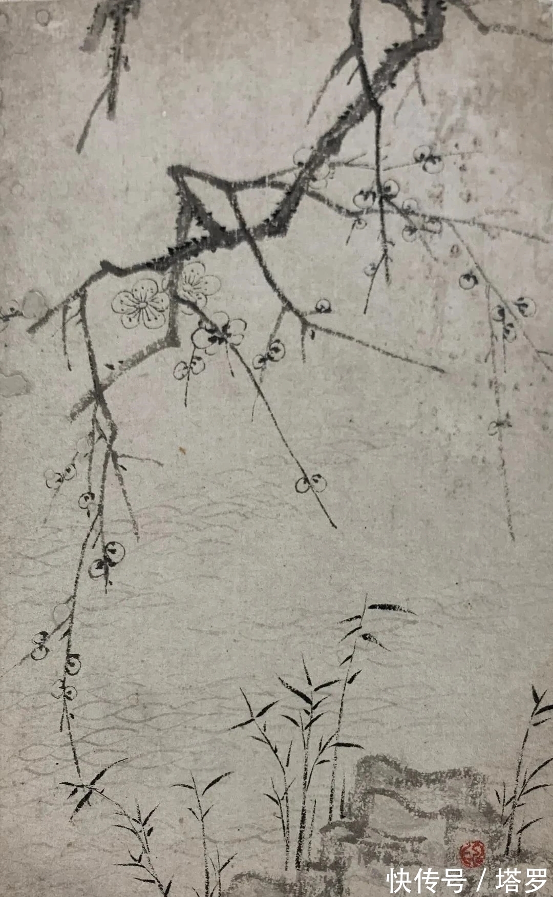 江画梅@他的山水画面貌来源于铁骨冰心的梅花|渐江画梅