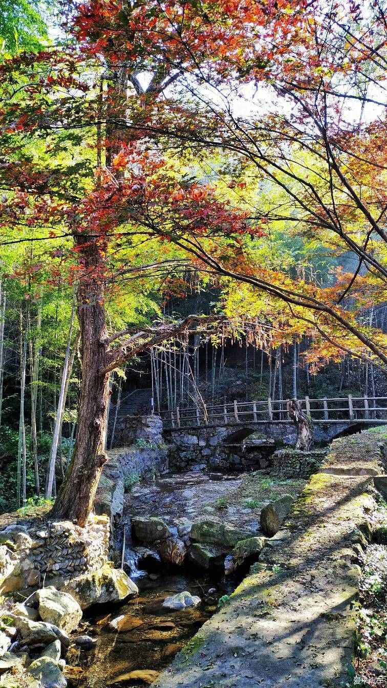 龙泉精舍|【熊迹】赏秋之旅秋色庐山，梦幻瑶里