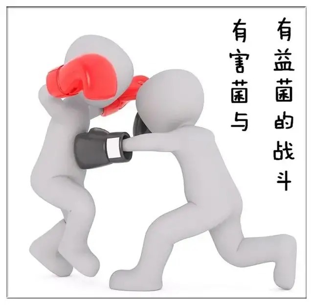 有益菌|辰颐物语:益生菌怎么吃,怎么选?这些知识点你要知道