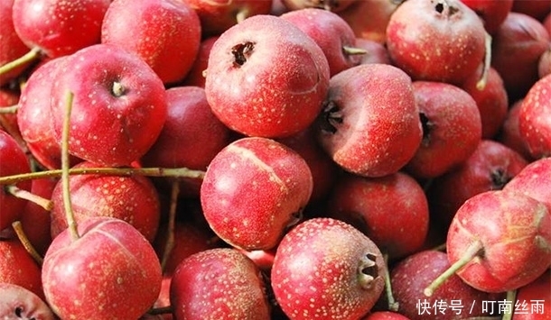 山楂“开胃消食”,鲜山楂和山楂干哪个营养高呢?很多人都不了解