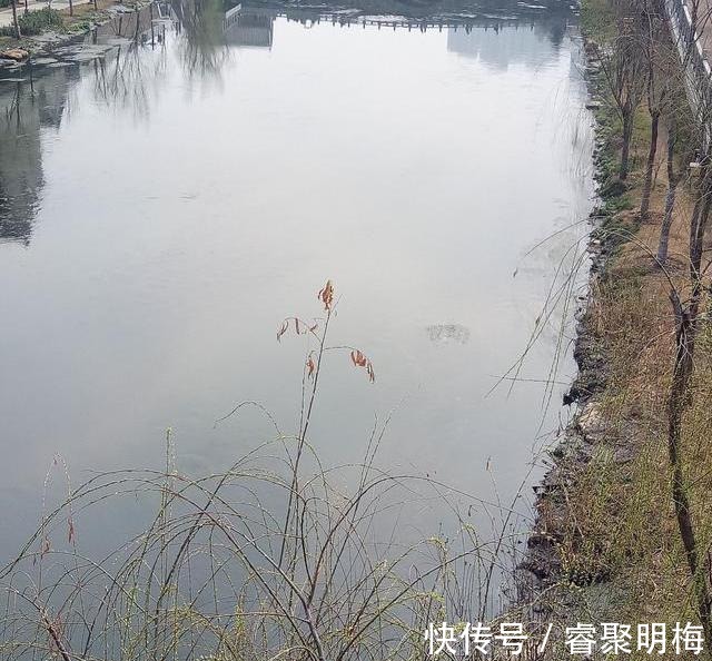 繁荣|洛阳隋唐时期八大景之一“铜驼暮雨”如今在老城瀍河桥头复活