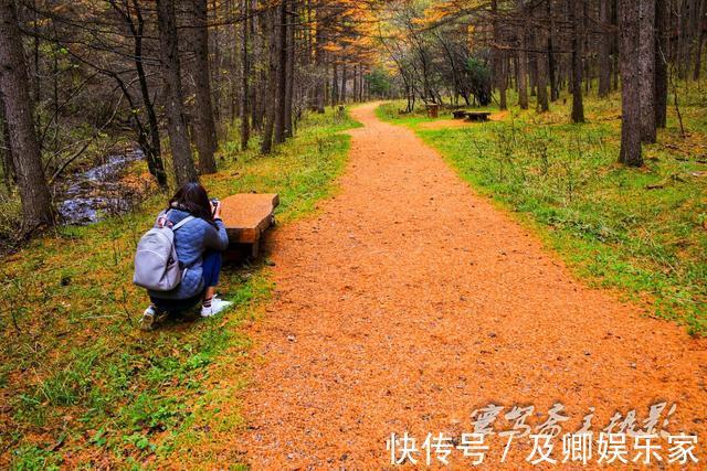 秋色|养在深闺人未识的秦岭秘境留坝，却深藏着让人叹为观止的绝美秋色