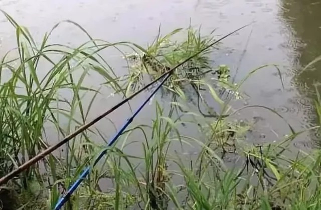 冬天这个时间,这些地方钓鲫鱼,没有不爆护的道理!