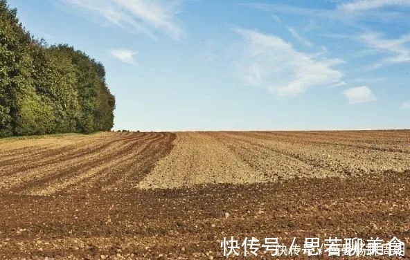 行政诉讼|补偿款太低?“依法拆迁拖字诀”保障你的公平公正!