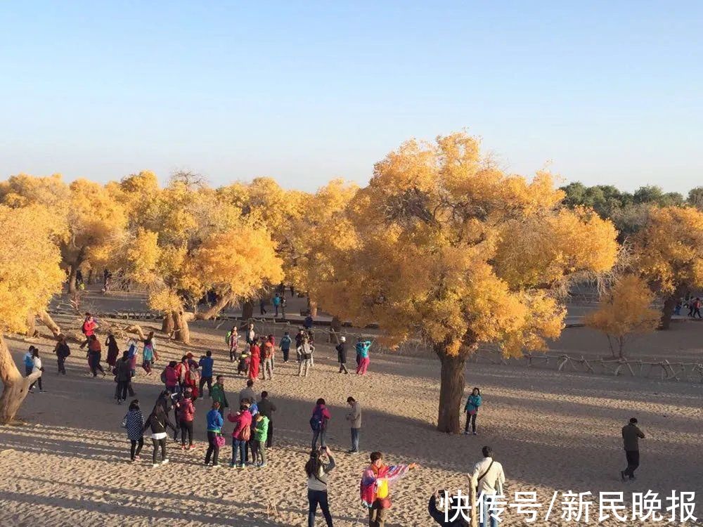 疾控中心|退休旅行团7人阳性！包括5名上海人！西北多景区紧急关闭！急寻相同轨迹人员