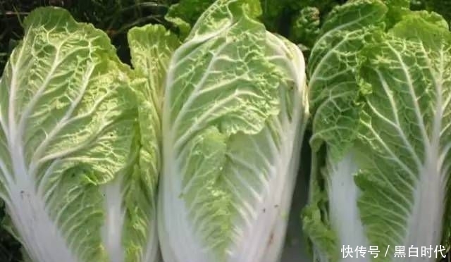 小肚子鼓鼓?常吃此菜,促进消化不便秘,皮肤