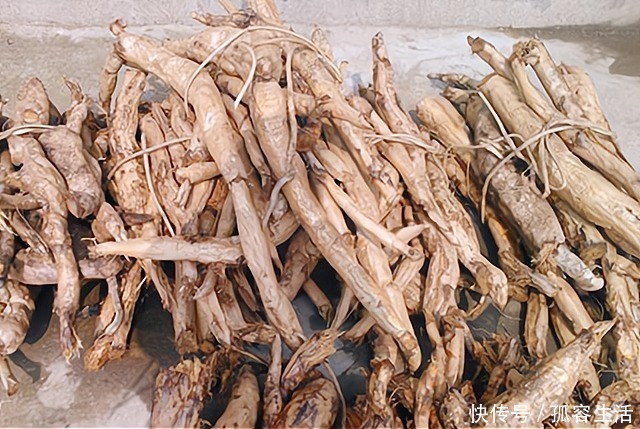 亚洲|路边不起眼的植物，被誉为“亚洲人参”，见到别犹豫，一斤50元