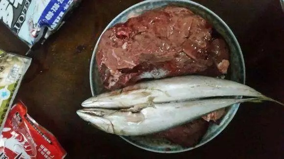 钓了30年鱼，才知道鲫鱼饵根本不用买，据说比蚯蚓还好用...