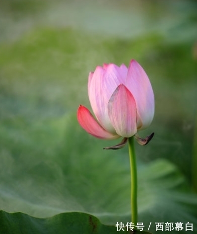 金生水之局|到了9月中旬，4属相吉星伴身，生活越来越富裕，福禄有余