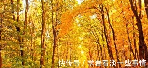 明时思解愠|王安石《孤桐》:明时思解愠,愿斫五弦琴