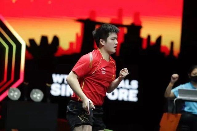 樊振东|恭喜！孙颖莎、樊振东，双双夺冠！