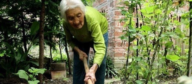 长寿|百岁老人道出长寿秘诀，共四句话，每个人都该记住