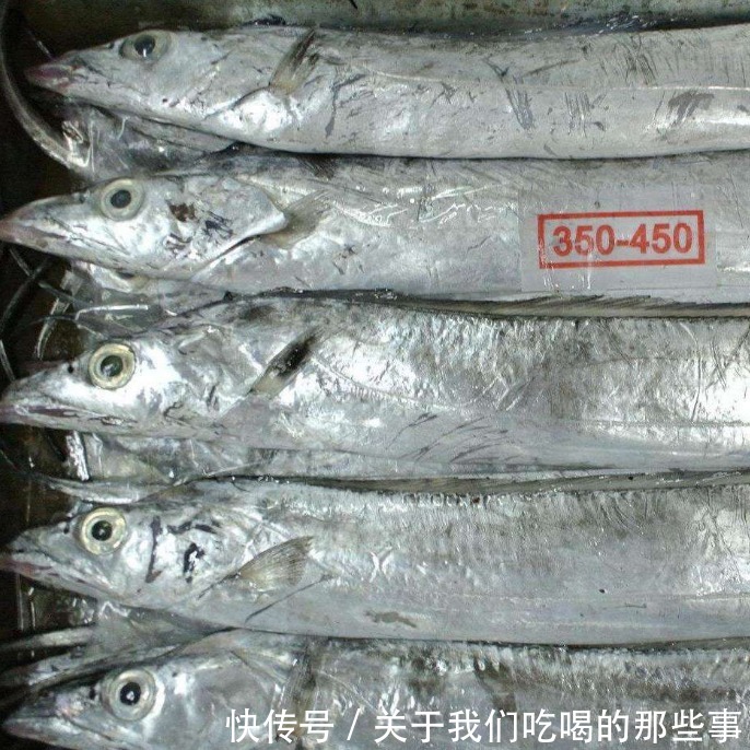 都是带鱼,为啥有的一斤10元,有的300元?老渔民告诉你差在哪儿