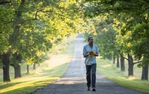 人体健康|散步也能致命?散步的好处和坏处,为了家人健康早了解