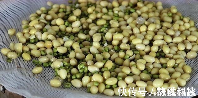 黄豆|黄豆不打豆浆了，加1把绿豆，简单一做，天天吃都不腻，太香了