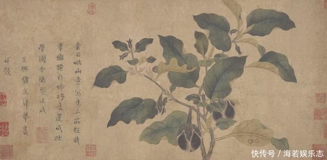 茄子|怎样让一只茄子也显得有文化