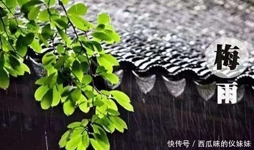 飘落在唐诗宋词里的梅雨 看上去很美 实际上很遭罪 全网搜 飘落在唐诗宋词里的梅雨 看上去很美 实际上很遭罪 全网搜
