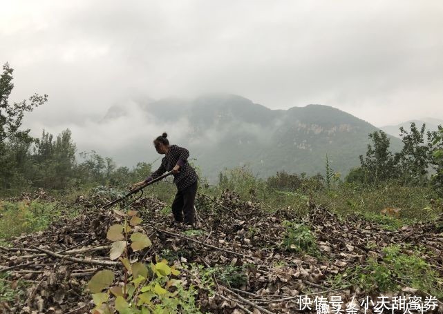  老话说：“男修车前马后，女修产前产后”，你知道是什么意思吗？