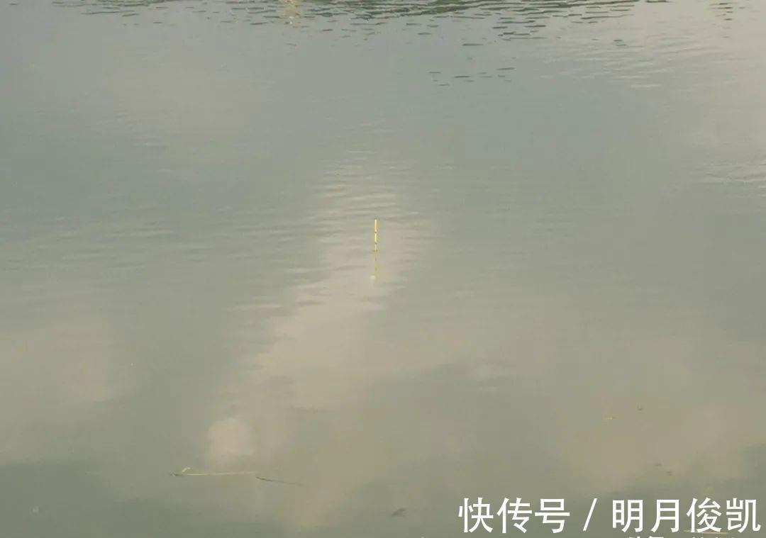 动作|盯紧你的浮漂！冬天野钓别等黑漂，这样的小信号也能中鱼