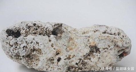 粪便|世界上最值钱的粪便没有之一,捡到一块一辈子不愁吃喝!