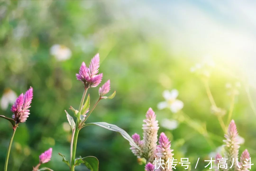 淮中晚泊犊头@20首春雨诗词，一朝春雨过，万物皆清明