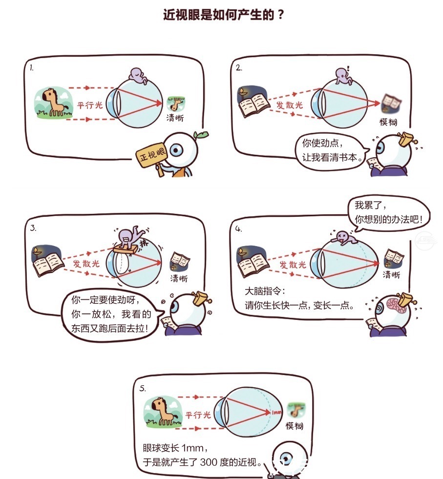 自然光|“女孩近视率远超于男孩”:早点知道这些,孩子就不用近视了